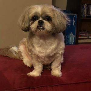 Meet your Posher, Judy